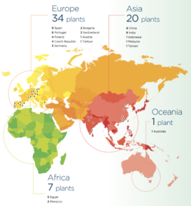 Roca Group Around the World