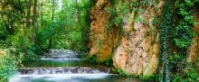 Monasterio de Piedra